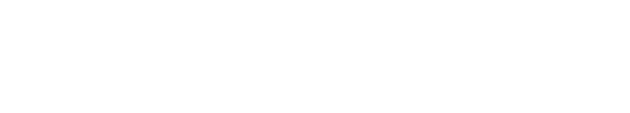 Genroks AI